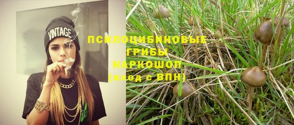 spice Бронницы