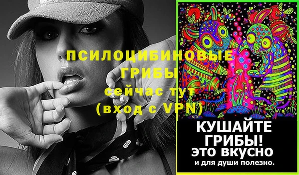 mix Бородино