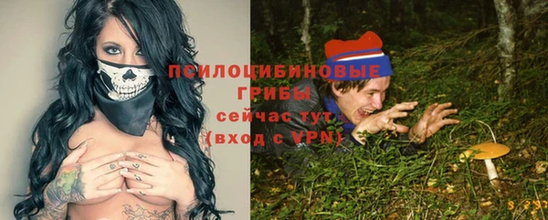mix Бородино