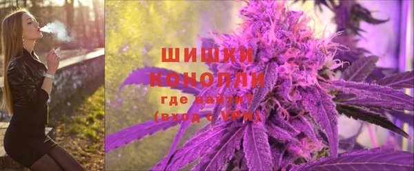 spice Бронницы
