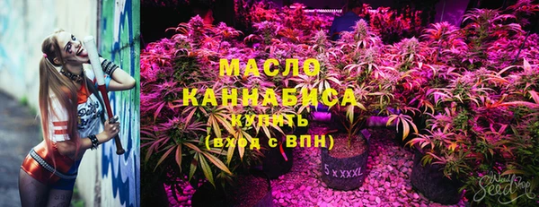mix Бородино